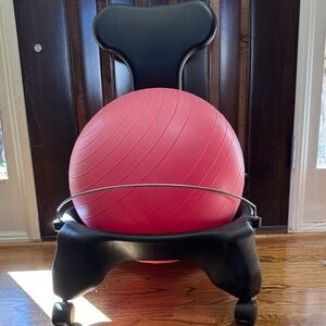 Pink Exercise Ball Chair